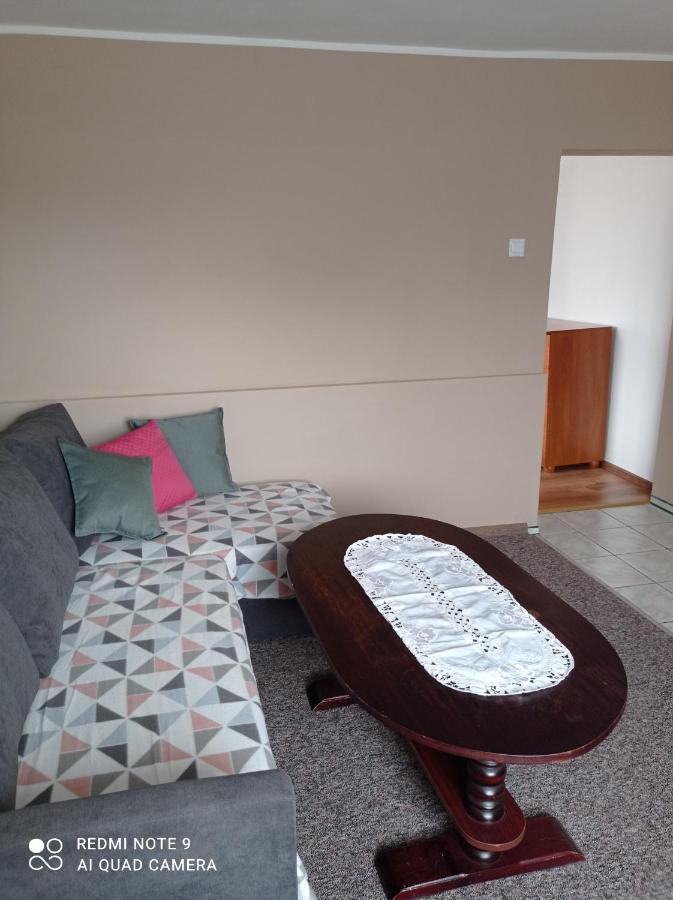 Apartament Jarzębinka Wiele Zewnętrze zdjęcie